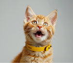 Load image into Gallery viewer, COLLAR PALÜ K