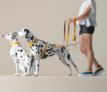 Load image into Gallery viewer, POOP BAG DISPENSER RIGI