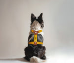 Load image into Gallery viewer, HARNESS PILATUS