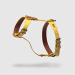 Load image into Gallery viewer, HARNESS PILATUS