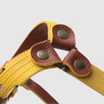 Load image into Gallery viewer, HARNESS PILATUS