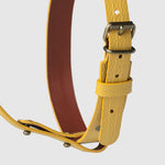 Load image into Gallery viewer, HARNESS PILATUS