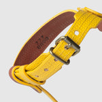 Load image into Gallery viewer, HARNESS PILATUS