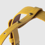 Load image into Gallery viewer, HARNESS PILATUS