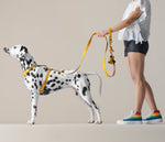 Load image into Gallery viewer, POOP BAG DISPENSER RIGI