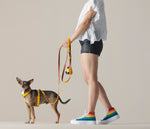 Load image into Gallery viewer, POOP BAG DISPENSER RIGI